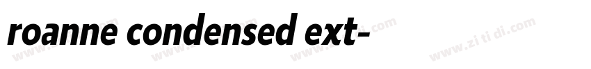roanne condensed ext字体转换